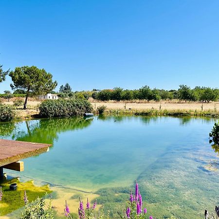 Glamping On Organic Yoga Farm With Natural Swimming Pool Near Beach Moncarapacho Exteriér fotografie