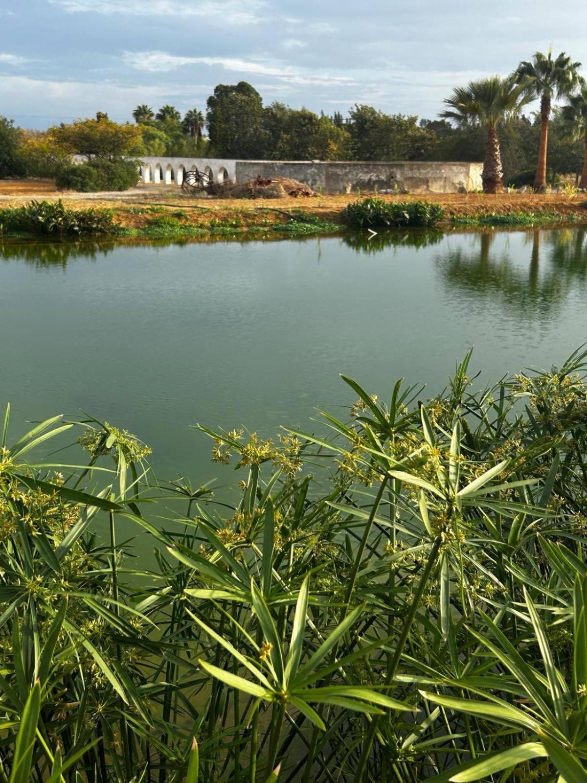 Glamping On Organic Yoga Farm With Natural Swimming Pool Near Beach Moncarapacho Exteriér fotografie