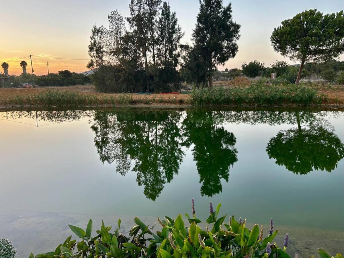 Glamping On Organic Yoga Farm With Natural Swimming Pool Near Beach Moncarapacho Exteriér fotografie