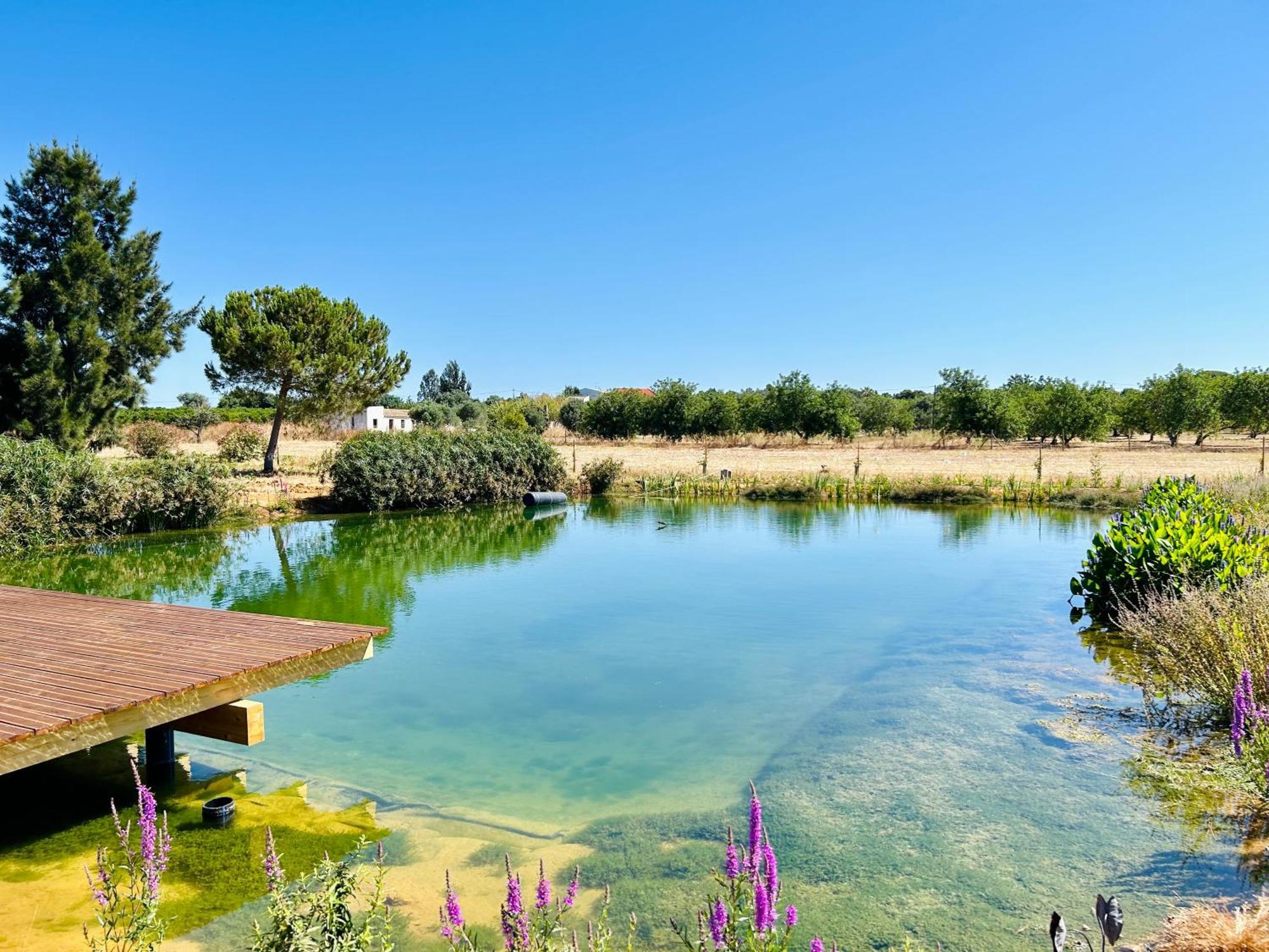Glamping On Organic Yoga Farm With Natural Swimming Pool Near Beach Moncarapacho Exteriér fotografie